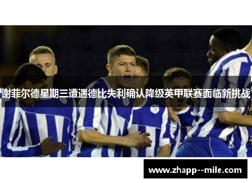 谢菲尔德星期三遭遇德比失利确认降级英甲联赛面临新挑战